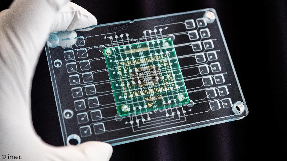 Next on-chip: Human organs | Semiconductor Digest